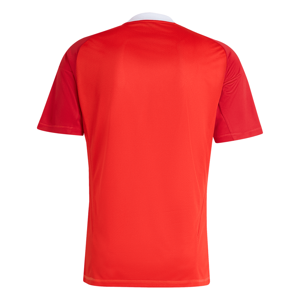 Manto Flamengo Goleiro 3 BETANO Adidas 2025